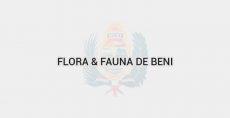 Flora & Fauna de Beni