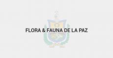 Flora & Fauna de La Paz