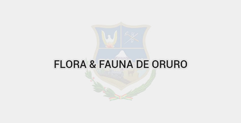 Flora & Fauna de Oruro