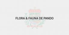 Flora & Fauna de Pando